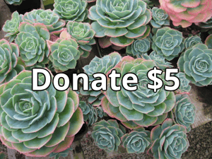 Image of Donate 5