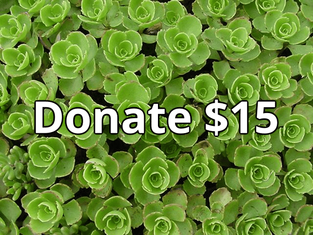 Image of Donate 15
