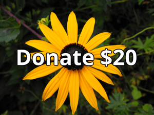 Image of Donate 20