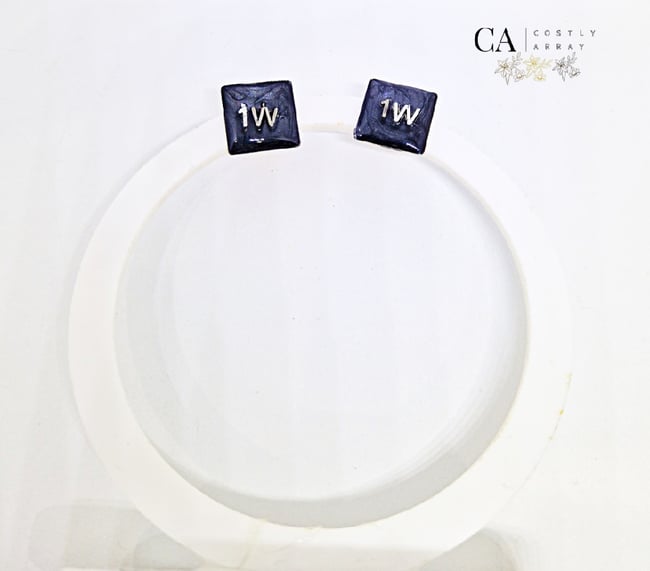 Silver 1w stud earrings| black detail 