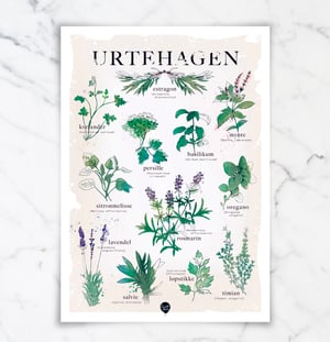 Image of "Urtehagen" / "Örtagården"