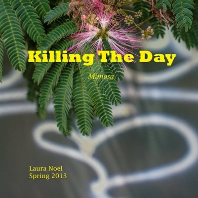 Image of Killing The Day Spring 2013/Volume 2/Mimosa