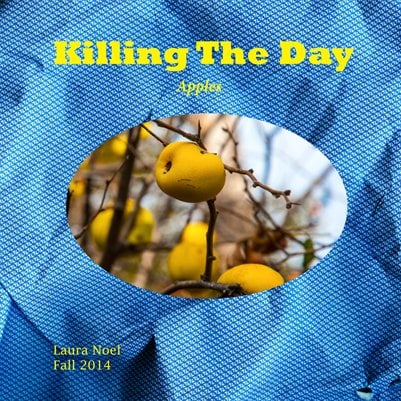 Image of Killing The Day/Fall 2014/Volume 8/Apples
