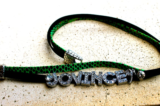 Image of Everglades bracelet