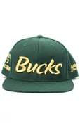 Image of 100 Trilly Snapback (Green)