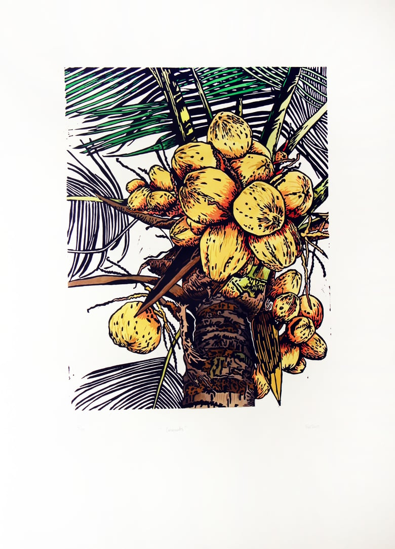 Image of "Coconuts" 2015 - Hand coloured