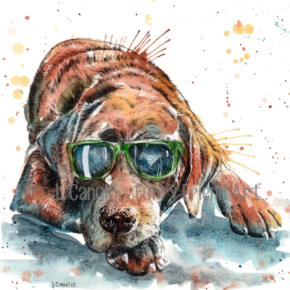 Image of Sunglass Pup