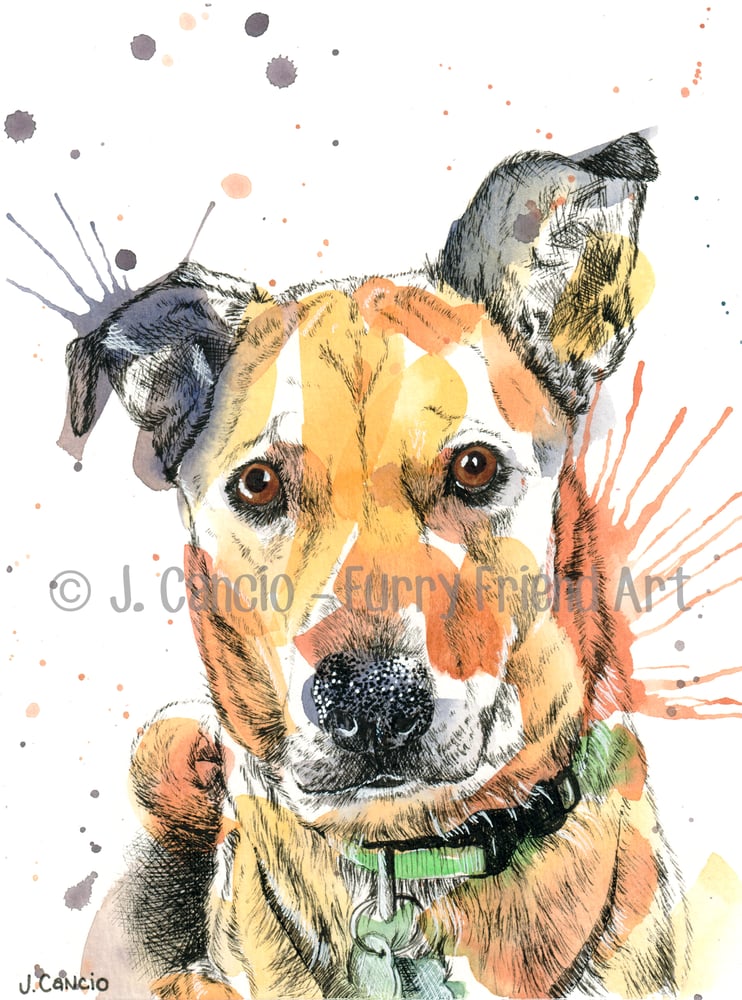 Image of Custom Watercolor Pet Portrait