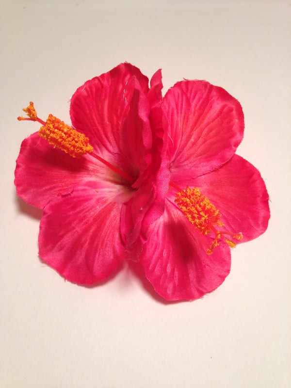 Image of Aloha Double Hibiscus Clip