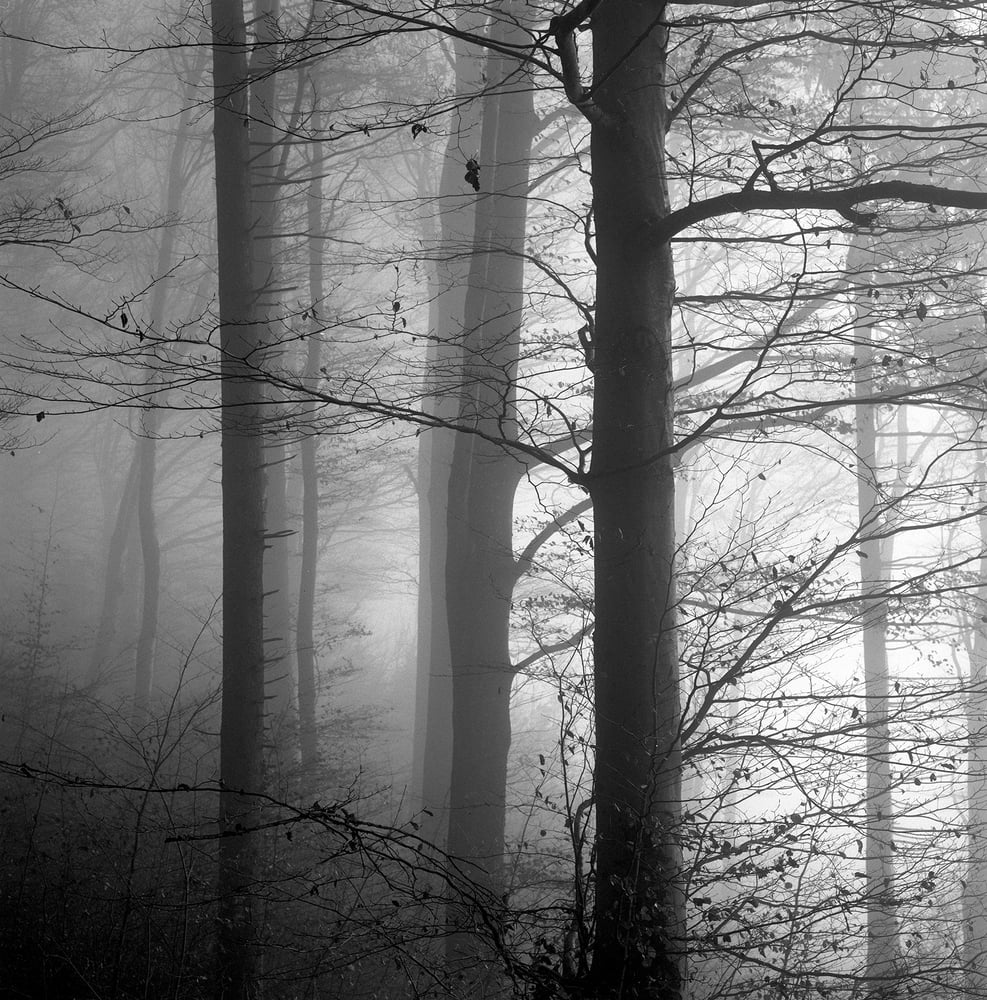 Image of Uetliberg 2:40pm