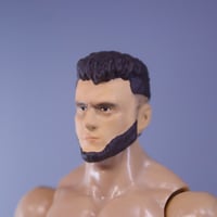 Image 2 of Maxwell