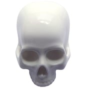 Image of Skull Brooch