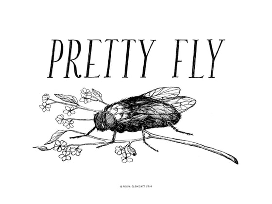 Image of Pretty Fly / Mini Print