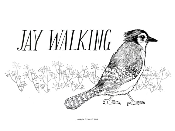 Image of Jay Walking / Mini Print