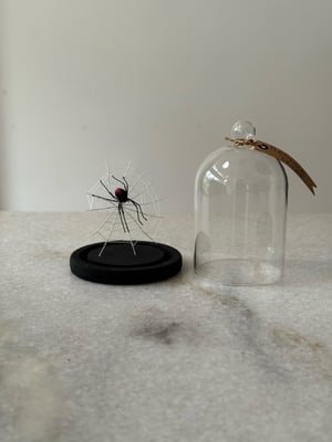 Image of Redback spider and web faux entomology 