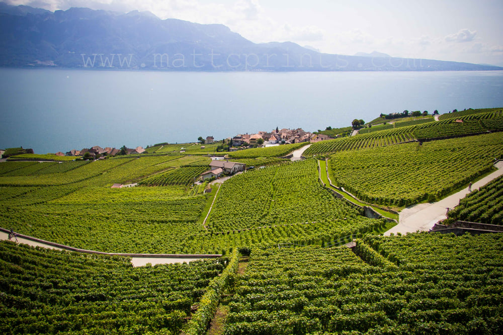 Image of Wine Country, Lake Geneva