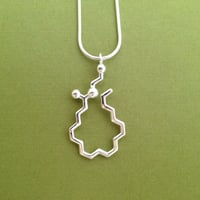 Image 3 of anandamide necklace