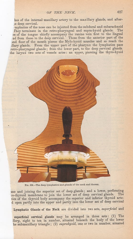 Image of 186