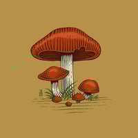 Image 1 of Mushroom Print