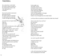 Image 4 of Cherry Pie by Hollie McNish