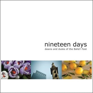 Image of nineteen days - vol one