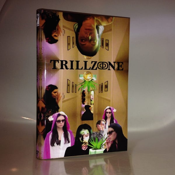 Image of Trillzone (2014, Directed by Nikhil Singh) DVDr HARDBOX