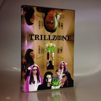 Trillzone (2014, Directed by Nikhil Singh) DVDr HARDBOX