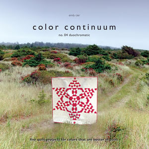 Image of Color Continuum -- no. 04 duochromatic