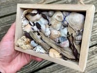 Image 3 of Beach Box #2