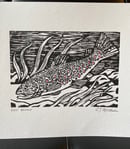 Image 1 of First Brookie- Black and Red