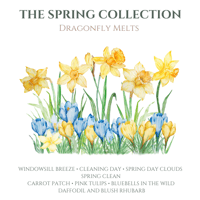 Image 3 of Spring Collection 