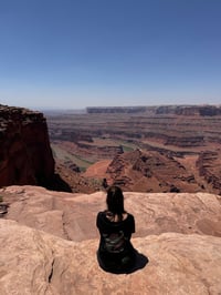 Image 4 of Built to Sting Crop Top