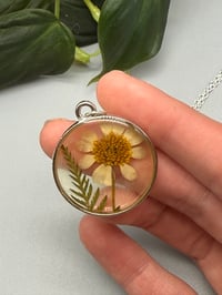 Image 2 of Chamomile Charm