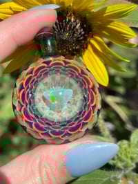 Image 5 of Purple Radiance