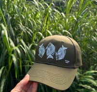 Image 3 of Kole Adult Dad Hats
