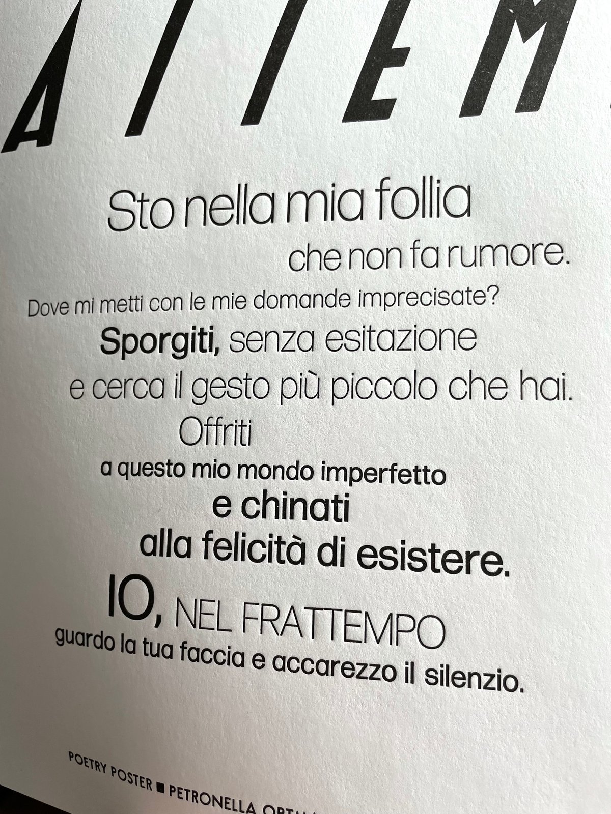 Image of IO NEL FRATTEMPO 