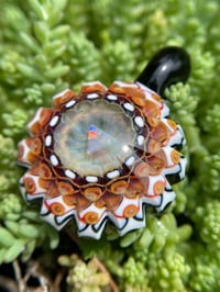 Image 5 of Sol Princess