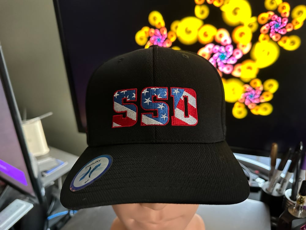 SSD Democracy hat with Vote Blue rear logo & Save Democracy side logo