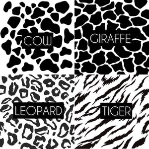 Image of Animal Print Budget Binder Bundle