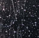 Image 2 of Constellation Prize