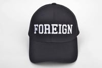 Image 2 of The FOREIGN SNAP BACK