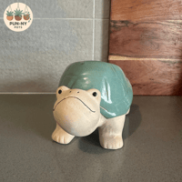 Turtle Planter Pot