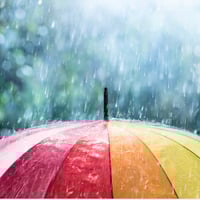 Image 3 of April Showers Honeybee Glycerin Body Bar