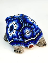 Image 4 of Baby Turtle