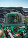 Michigan State Spartans (wool)