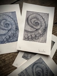 Image 3 of Gravure "Tentacule”