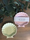 Sea Shell Dish