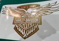 Image 15 of HD Batwing Eagle Fairing Graphic 