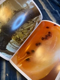 Image 5 of Alternates, Kazumi Kurigami, 1984.