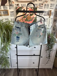 Image 1 of NWT embroidered shorts